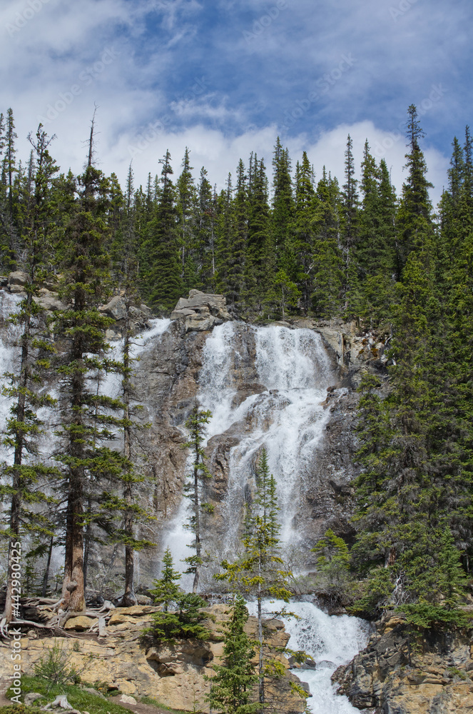 The Upper Part of Tangle Falls The Upper Part of Tangle Falls
