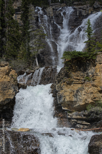 The Middle to Upper Part of Tangle Falls