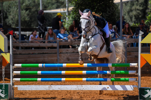 Rider on horse jumping over a hurdle during the equestrian event 