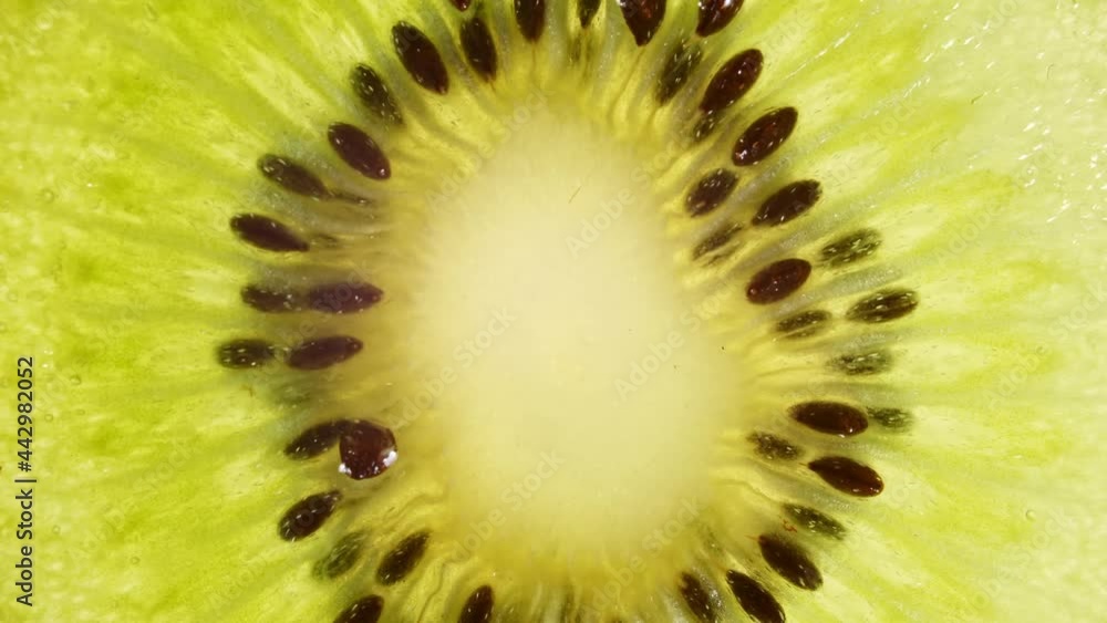 Macro Shot of Transparent Slice of Kiwi Fruit and Rotate. Closeup Fresh Kiwi. Healthy Food Background. Slow Motion. High quality 4k footage Macro Shot of Transparent Slice of Kiwi Fruit and Rotate. Closeup Fresh Kiwi. Healthy Food Background. Slow Motion. High quality 4k footage