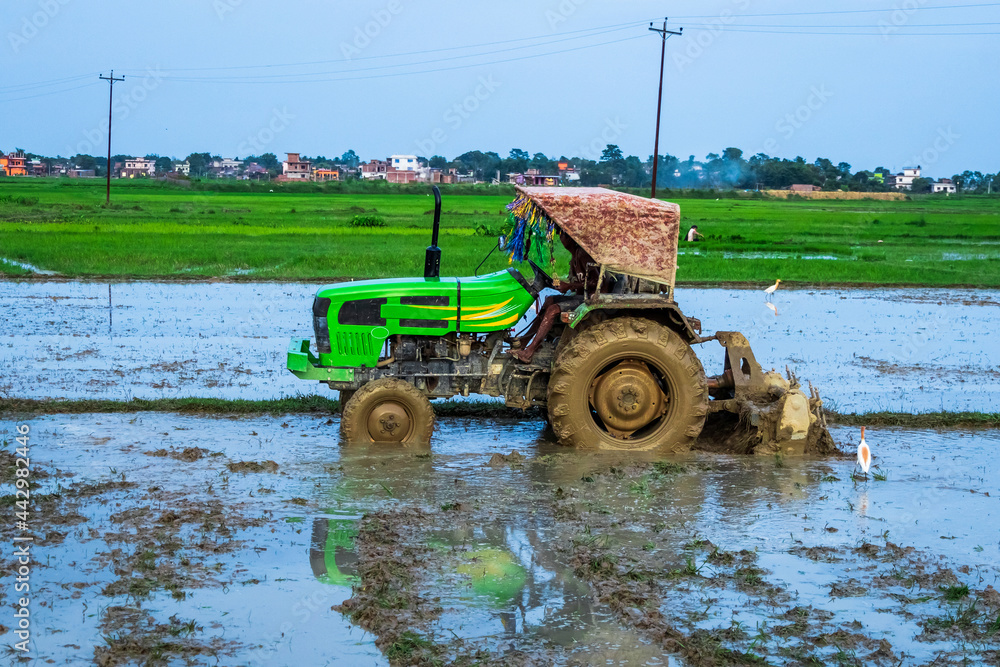Fototapeta premium Tractor Ploughs Field. Heavy duty tractor ploughs through muddy field after monsoon rain to prepare the land for rice plantation.