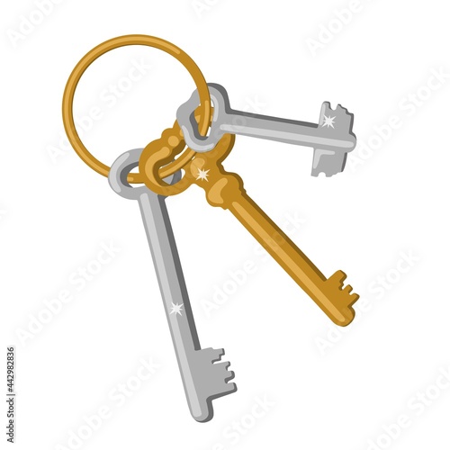 Gold and Silver Keys on the Ring. Set of Hand Drawn Vintage Keys. Isolated Vector Illustration