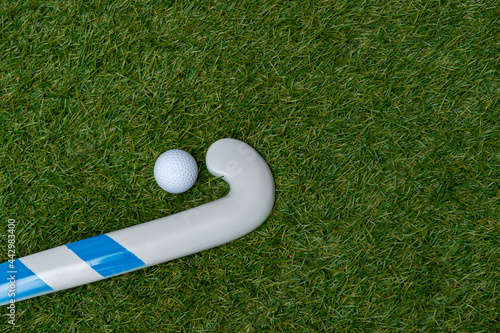 Field hockey stick and ball on the green field. Professional sport concept