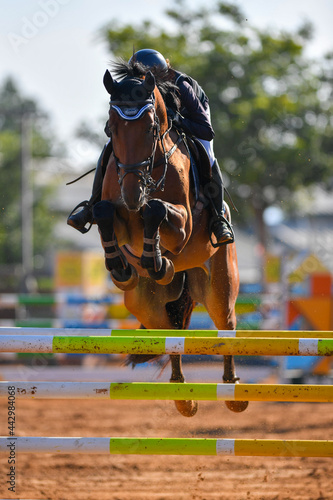 Obraz na plátně Rider on horse jumping over a hurdle during the equestrian event