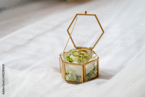 Wedding rings of the bride and groom in a elegant golden glass box lying on the bride's veil