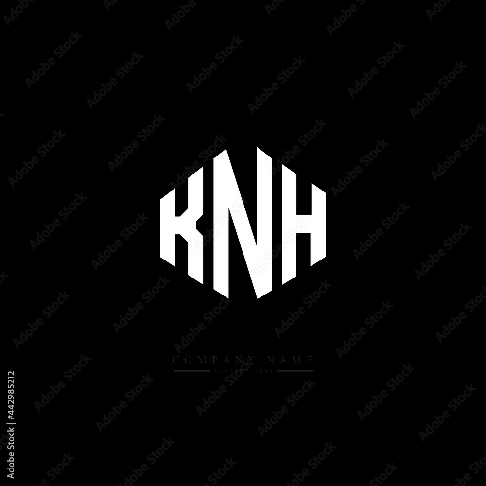 KNH letter logo design with polygon shape. KNH polygon logo monogram. KNH cube logo design. KNH hexagon vector logo template white and black colors. KNH monogram, KNH business and real estate logo. KNH letter logo design with polygon shape. KNH polygon logo monogram. KNH cube logo design. KNH hexagon vector logo template white and black colors. KNH monogram, KNH business and real estate logo.