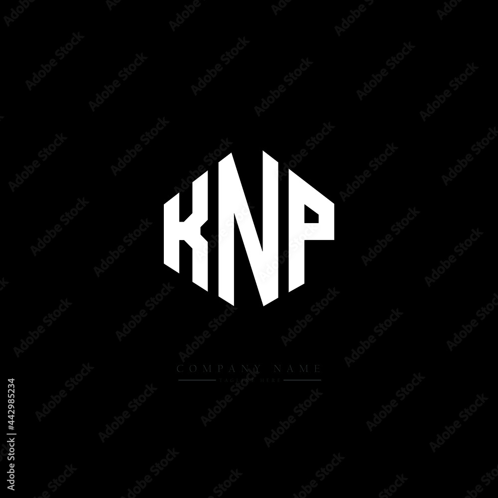 KNP letter logo design with polygon shape. KNP polygon logo monogram. KNP cube logo design. KNP hexagon vector logo template white and black colors. KNP monogram, KNP business and real estate logo. KNP letter logo design with polygon shape. KNP polygon logo monogram. KNP cube logo design. KNP hexagon vector logo template white and black colors. KNP monogram, KNP business and real estate logo.