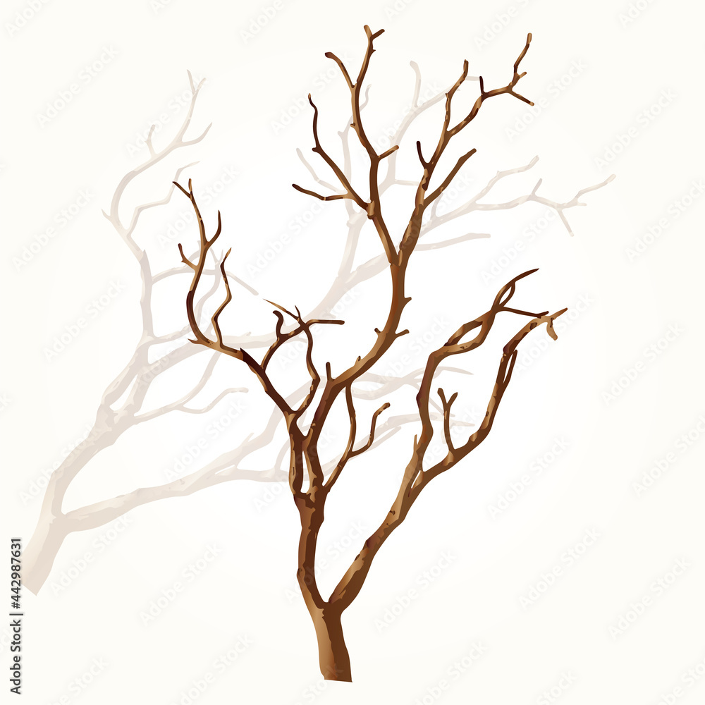 illustration of a tree branch without leaves on a white background illustration of a tree branch without leaves on a white background