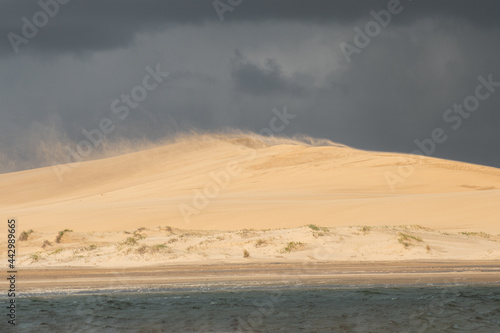 sand flying in the dunes on an ugly day