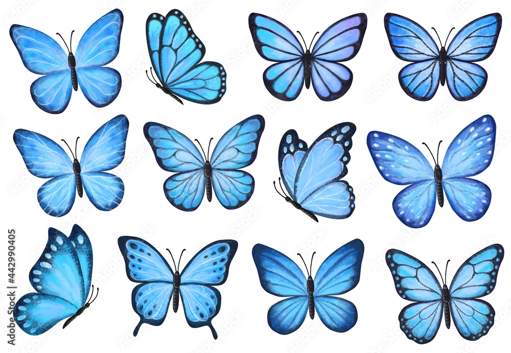 Free blue butterflies  Butterfly printable, Butterfly images