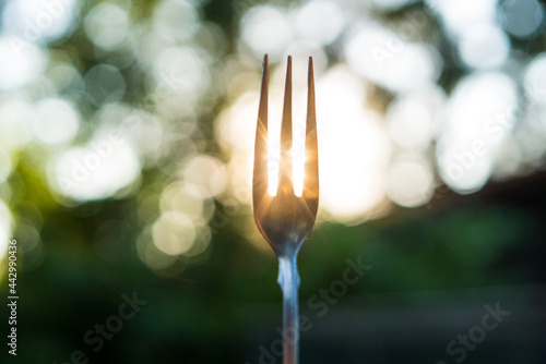 Fork with light 2