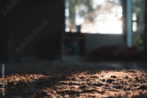Carpet