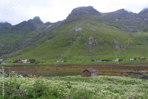 village in the valley - Selfjord  photo