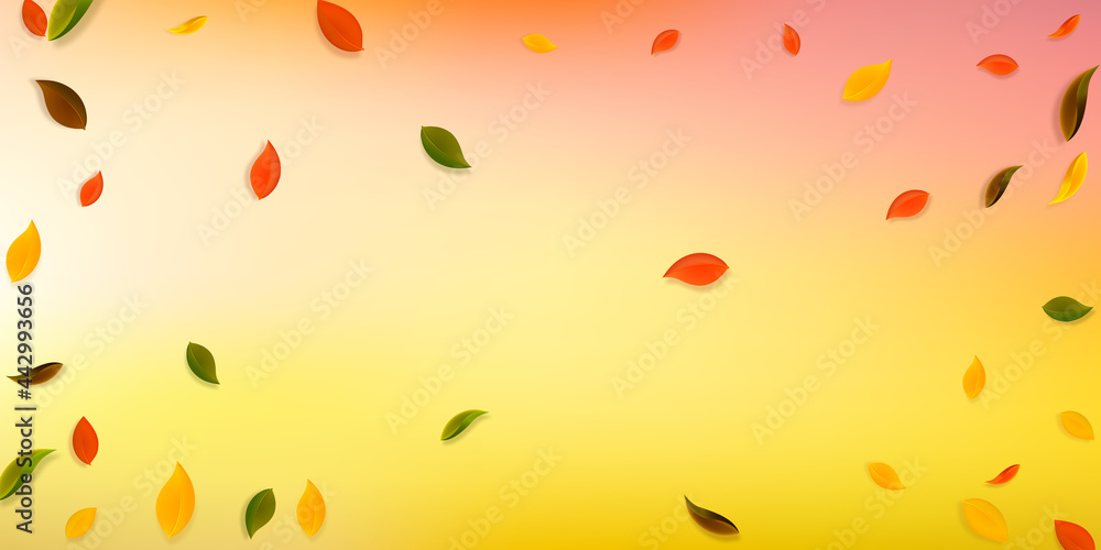 Falling autumn leaves. Red, yellow, green, brown c Falling autumn leaves. Red, yellow, green, brown c
