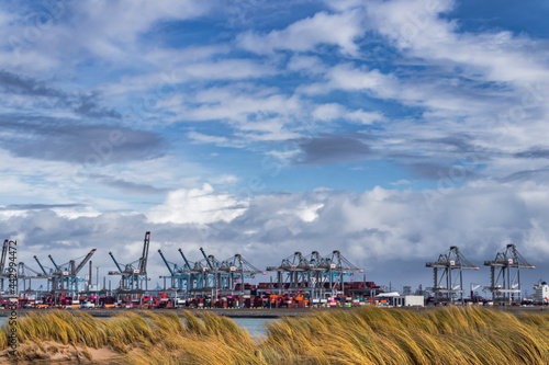 Container terminal in the Rotterdam harbor photo