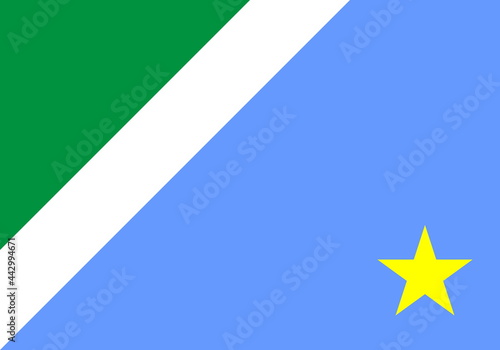 Flag of Mato Grosso do Sul