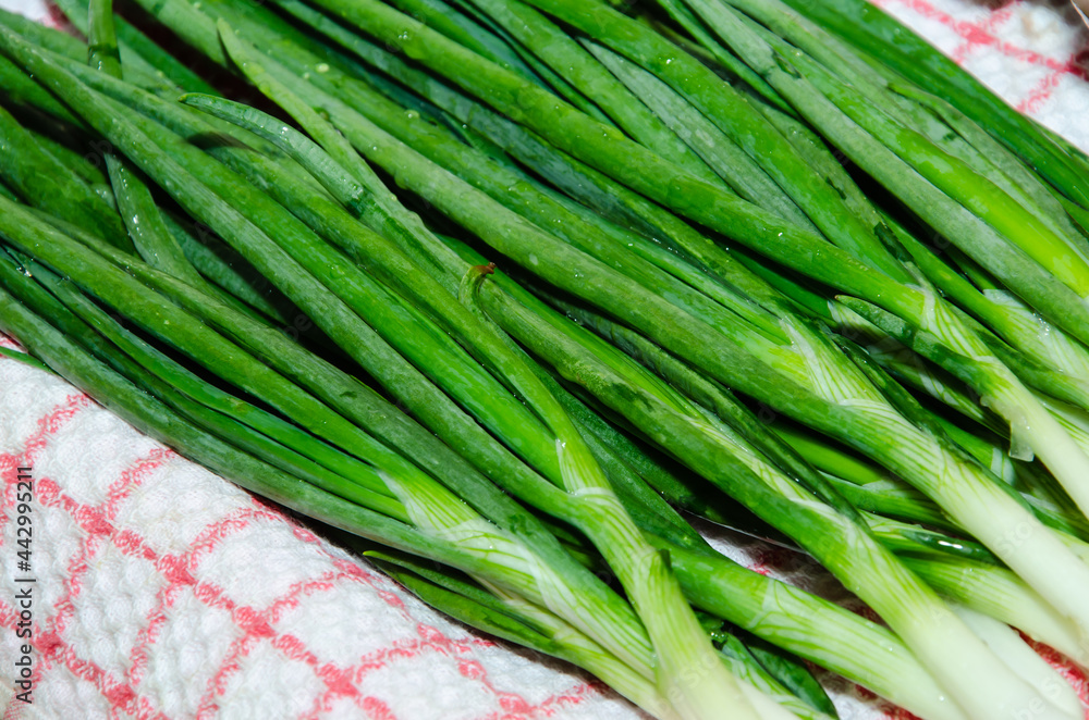 sliced green onions on a wooden board with a tea towel sliced green onions on a wooden board with a tea towel
