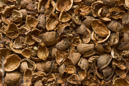 Walnuts peel background. Broken nut husk