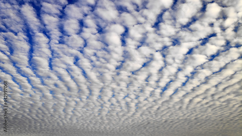 Photos Sky Cloudscape with altocumulus clouds
