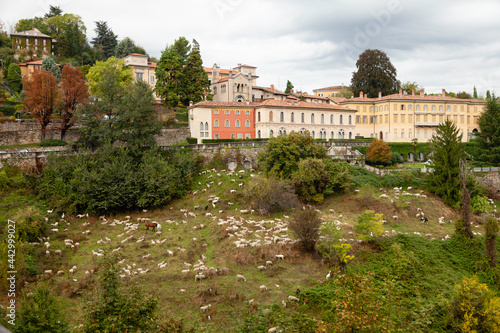 Bergamo is a city in the alpine Lombardy region of northern Italy, approximately 40 km (25 mi) northeast of Milan, and approximately 30 km (19 mi) from Switzerland, the alpine lakes Como and Iseo.