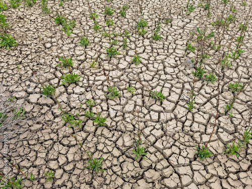 Earthy soil eroded by the sun. The lack of water has created cracks in the soil. Despite the drought, some plants are present in a sparse way.
