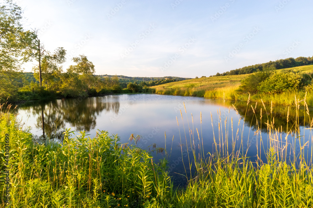 landscape with lake