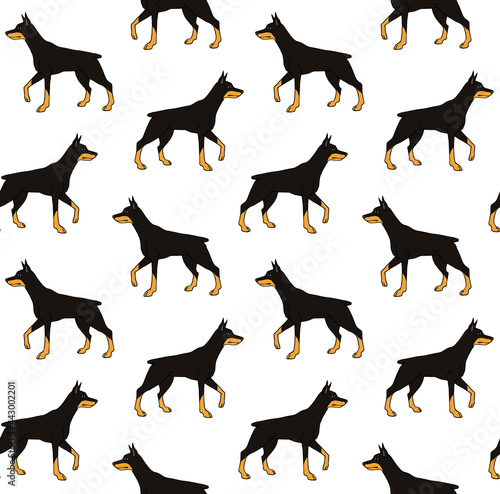 Vector seamless pattern of hand drawn doodle sketch colored doberman dog isolated on white background