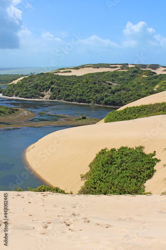 Dunes of Genipabu Beach II