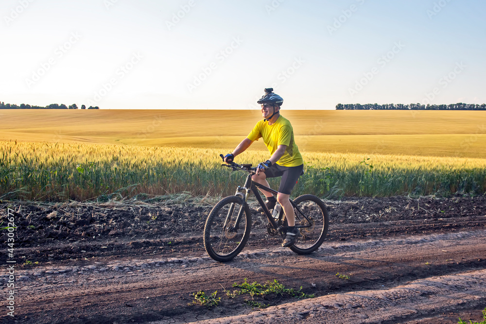cyclist on bike rides along the fields of wheat in the sunlight