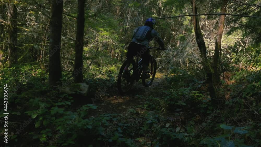 Colorful Sun Lens Flare on Mountain Biker Riding Down Forest Rock Boulders Colorful Sun Lens Flare on Mountain Biker Riding Down Forest Rock Boulders
