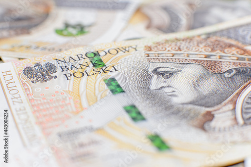 Polish money