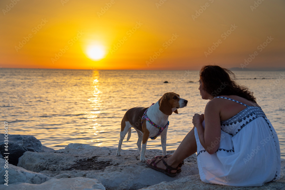 girl with white dress looks at her dog on the beautiful sunset background girl with white dress looks at her dog on the beautiful sunset background
