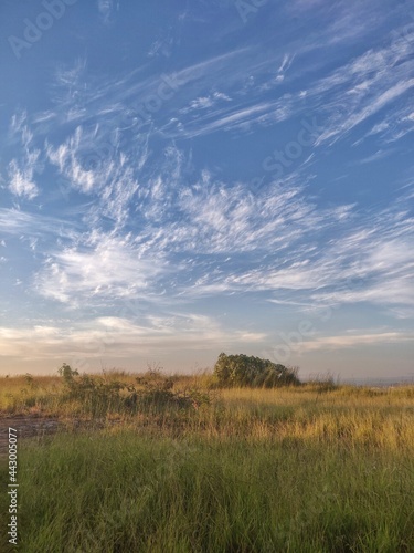 landscape with sky