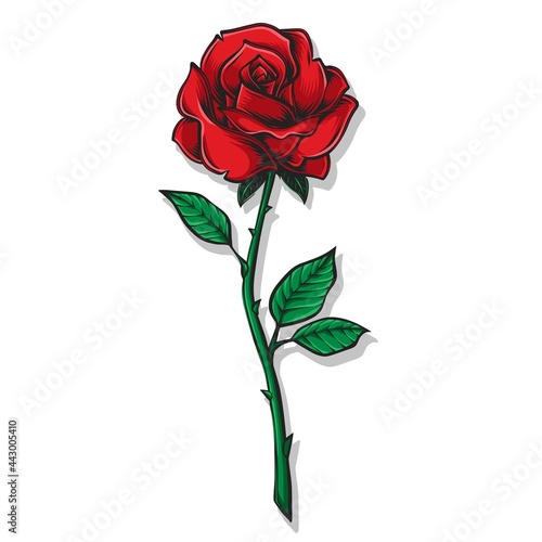 red rose with green leaf vector
