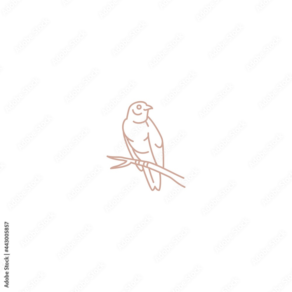 Obraz premium bird