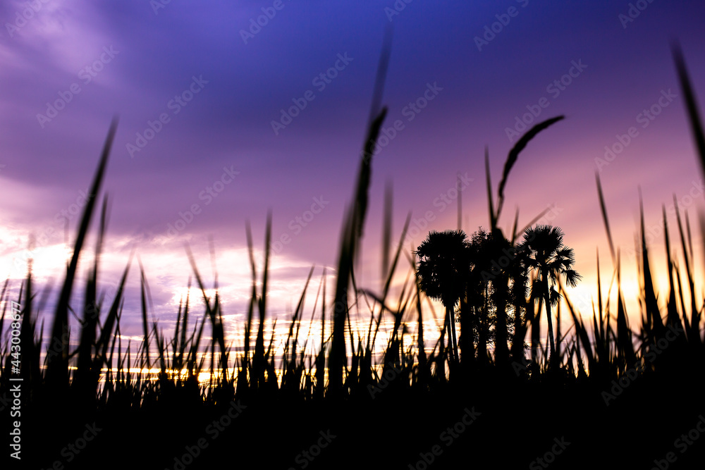 Obraz premium Colorful dramatic sky with cloud at sunset.Sky with sun background