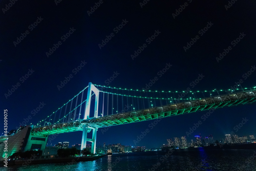 Obraz premium 東京夜景・クルーズ