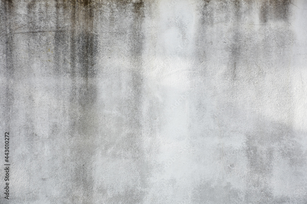 Obraz premium background