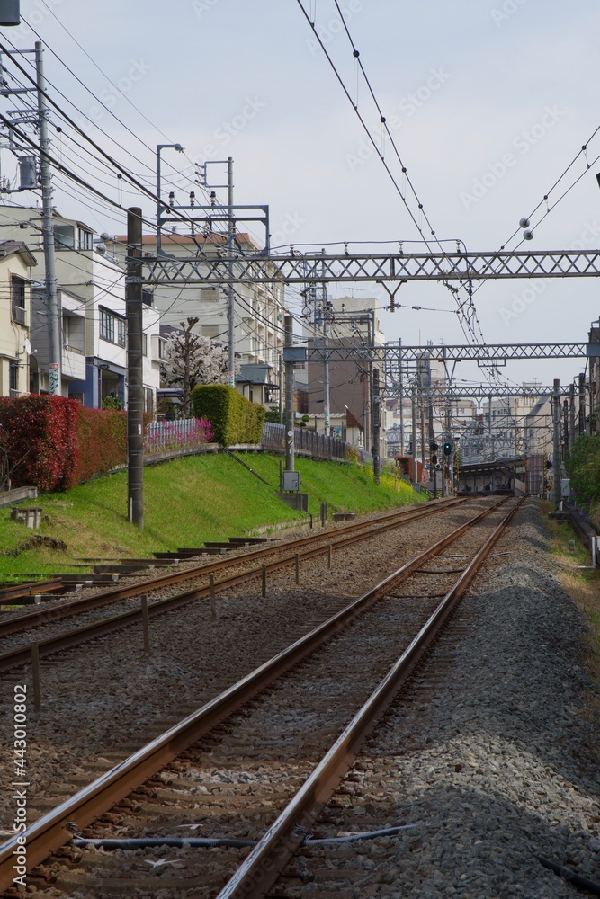 中野区　新井薬師　西武新宿線の線路の風景
踏切