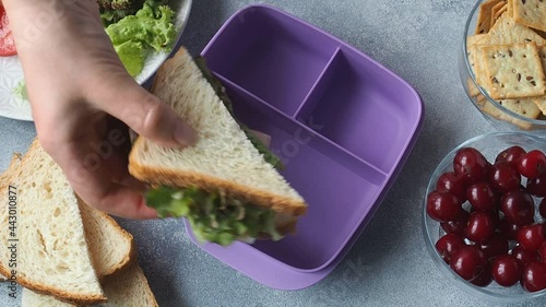 Woman takes, puts a sandwich in a lunch box. Lunch for school or office, a healthy snack sandwich, cherry and cookies.