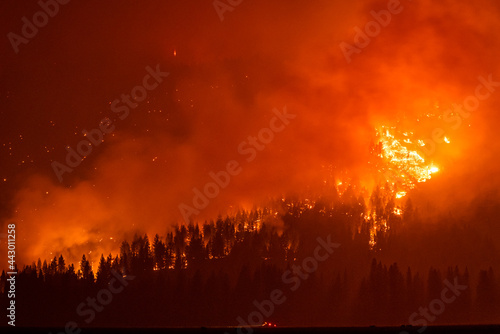 Flames flare from tree torching in California forest fire