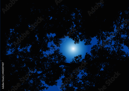 Moonlight coming through highly detailed tree canopy.
Vector Illustration