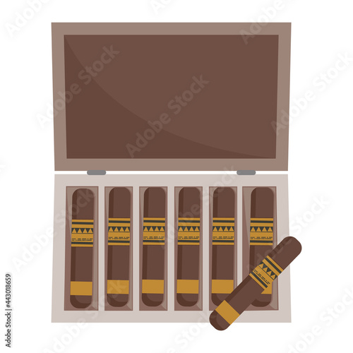 Cigar packaging, color isolated vector illustration on a white background