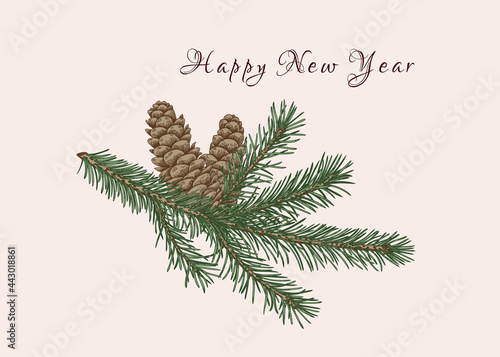 New year card with fir branch and cones. Сhristmas illustration. Botanical vector. Colorful pattern.