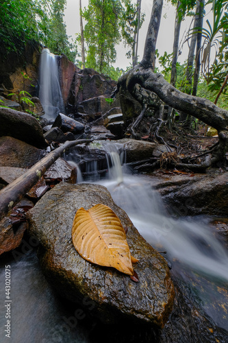 Beauty hidden waterfall in asian forest
