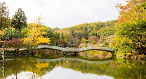 Fototapeta Naklejka Na Ścianę i Meble -  The romatic scence in the park which show the Japanes traditional bridge and beautiful reflection at Yakushiike Park in Machida, Tokyo Japan