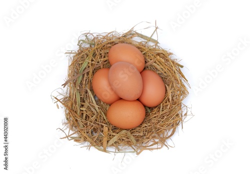 Chicken eggs in the nest isolated on a white background