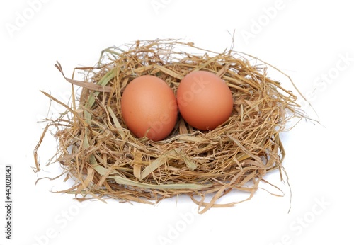 Chicken eggs in the nest isolated on a white background