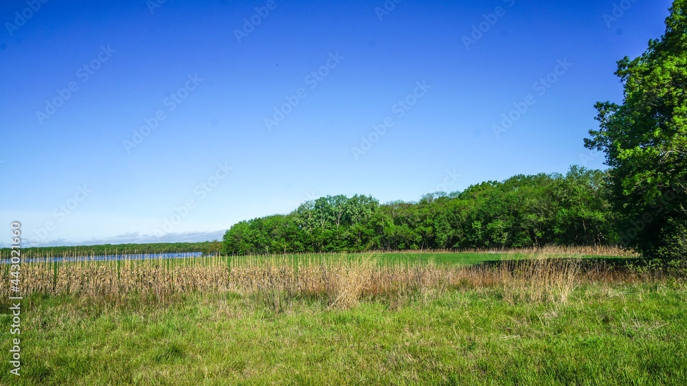 Marais des Cygnes National Wildlife Refuge grasses and lake
