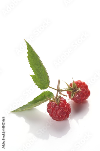 Raspberry with leaf on white background